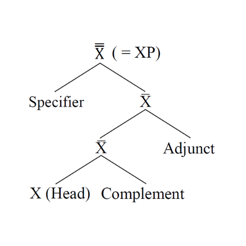 #885 二股分かれの原理 Binary Principle
