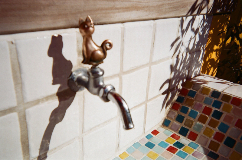 3匹目 だっふんだ！！