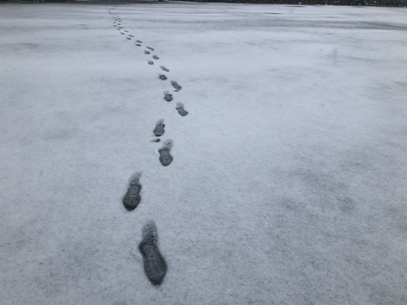 4匹目 誰かがきっと見てるからなんて、嘘だと思った