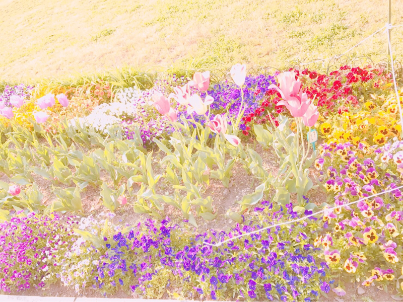 私の頼れる相棒たち