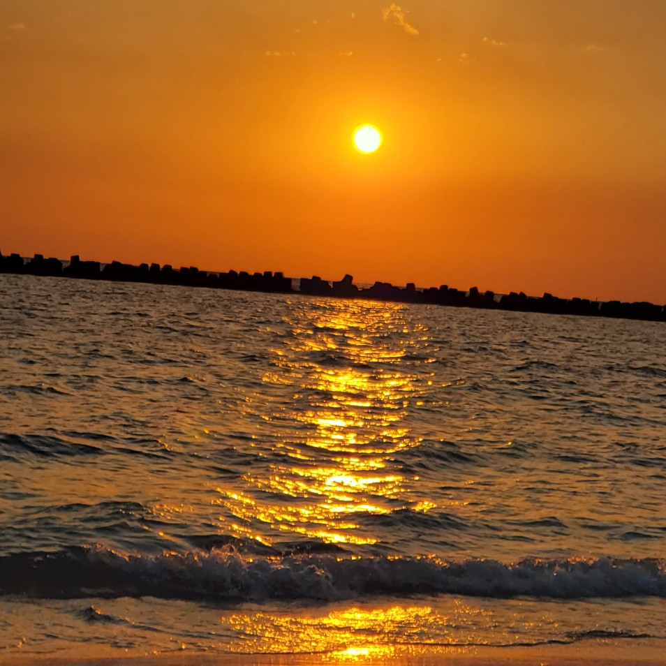 初ライブの感想