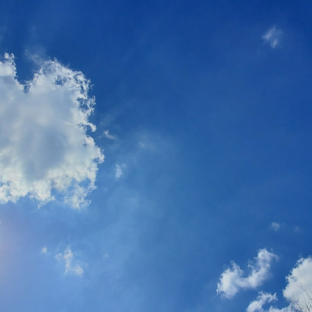 気ままなトーク