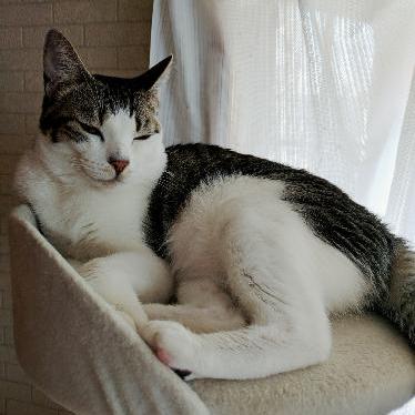 くーちゃん(´；ω；｀)