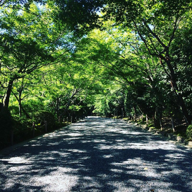 その日の想いその日のうちに