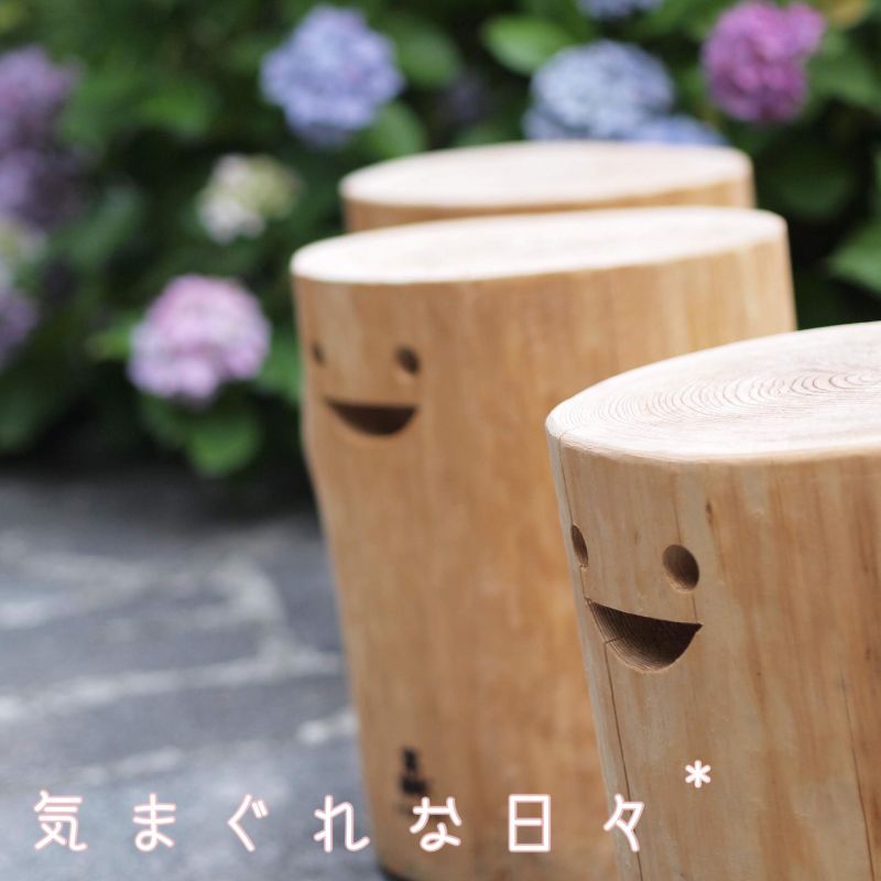 気 ま ぐ れ な 日 々 *