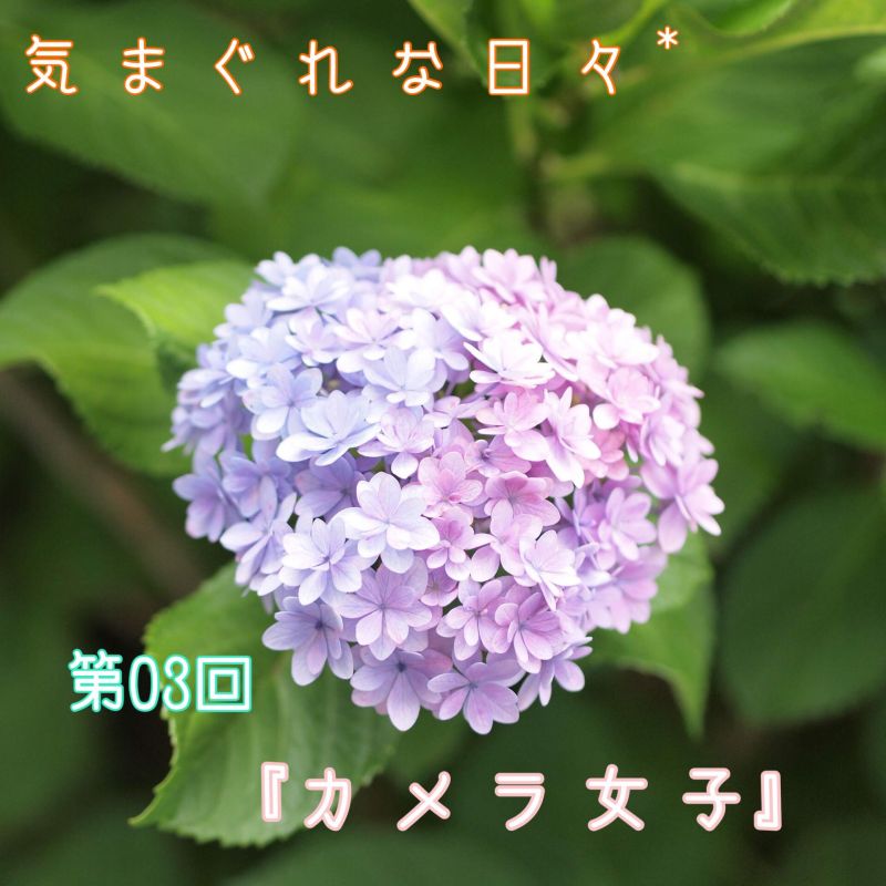 第03回『カメラ女子』