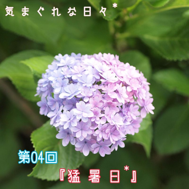 第04回『猛暑日*』