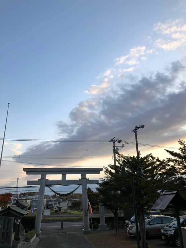 今日は桜の日♪