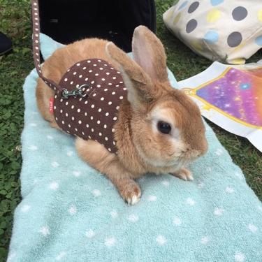 はじめまして。