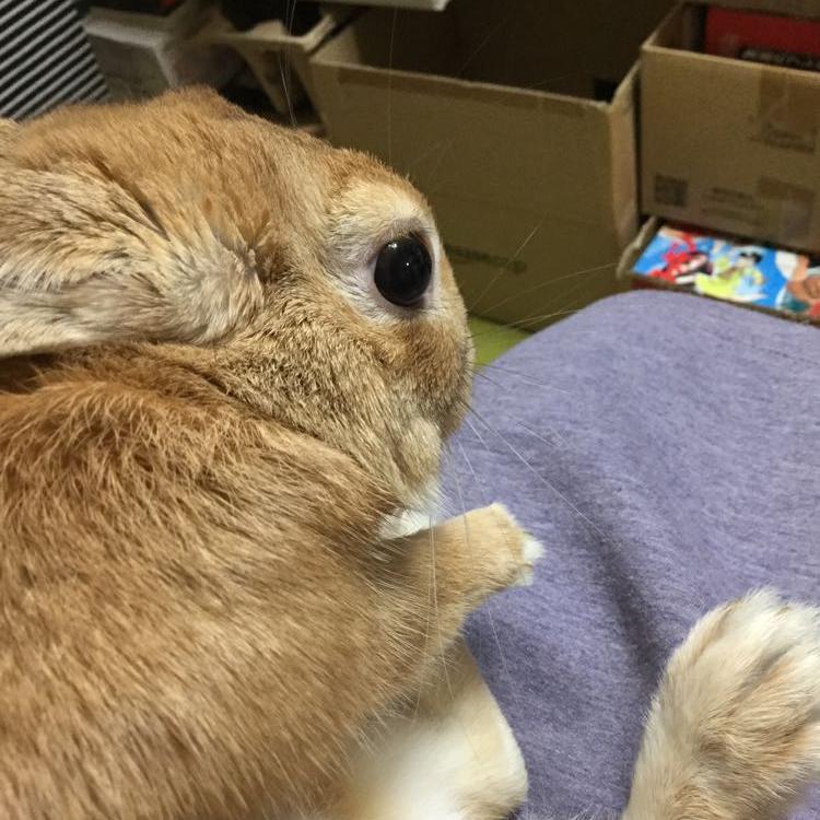 好きなことの話。６