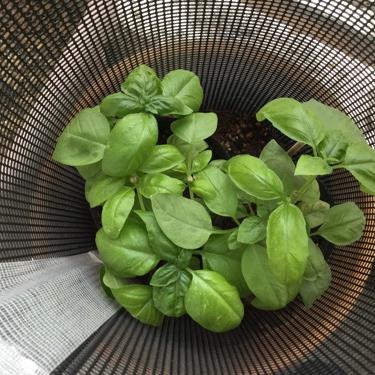 お久しぶりです、こんばんは。