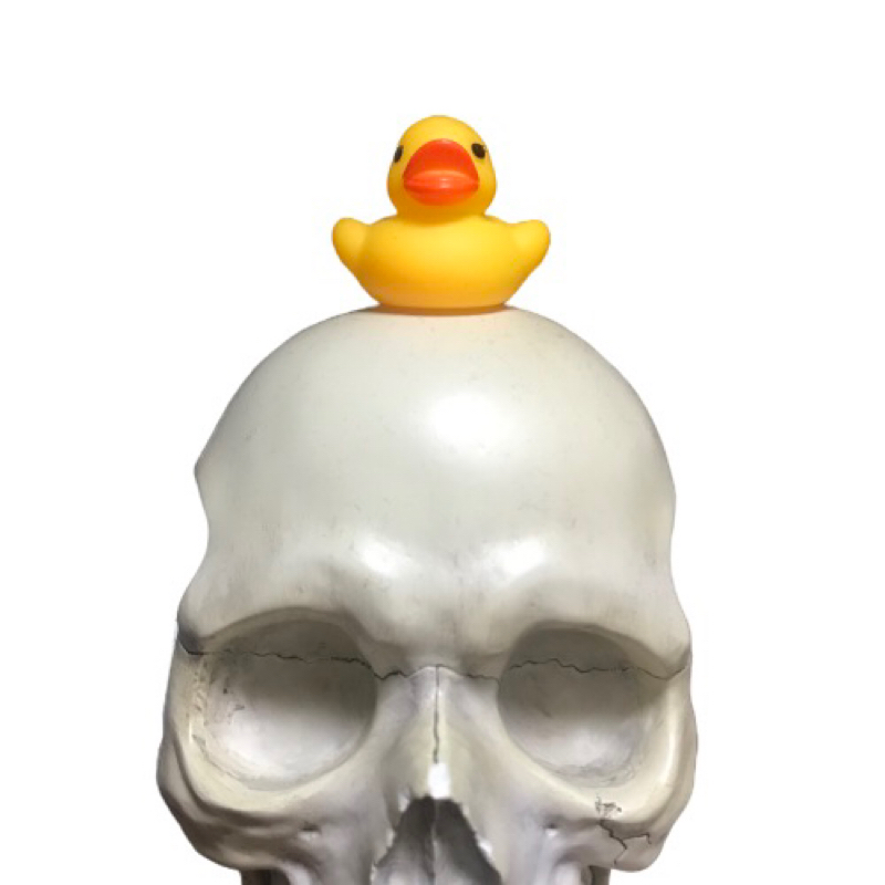 >>11 社会復帰が決まりました