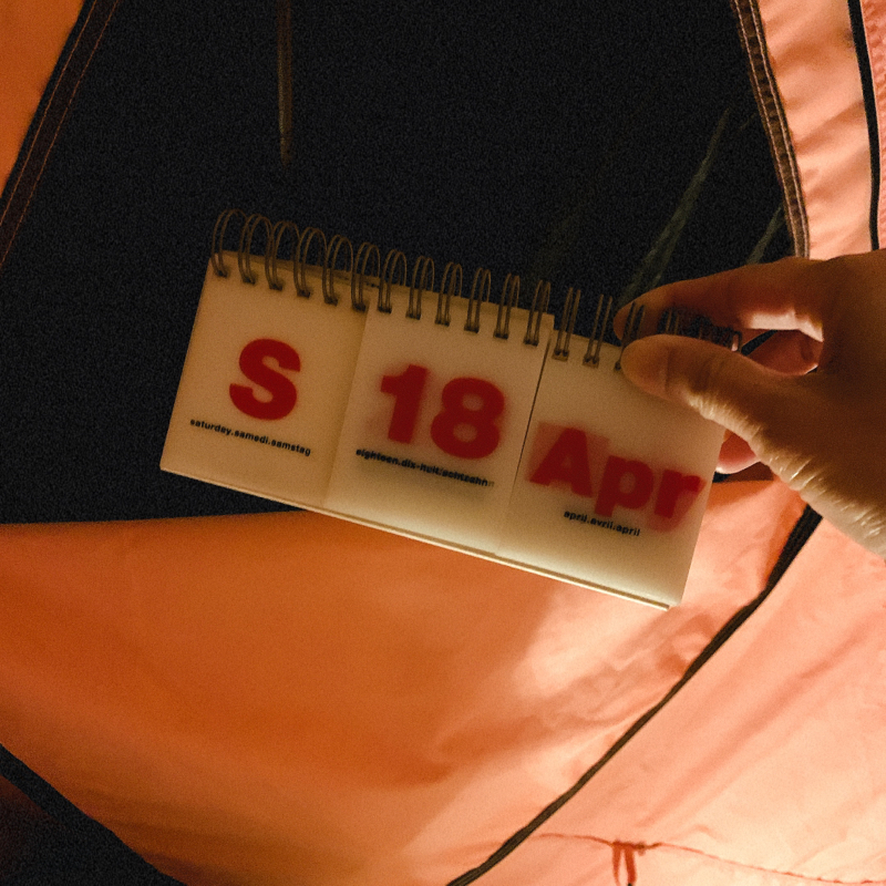 朝からやってくるカラスがぁ！