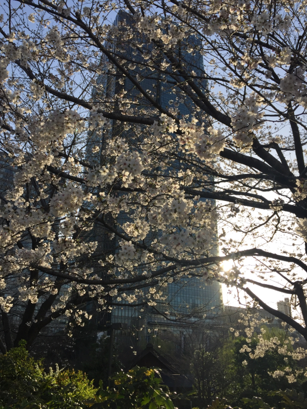 「夢十夜 第三夜」夏目漱石  朗読