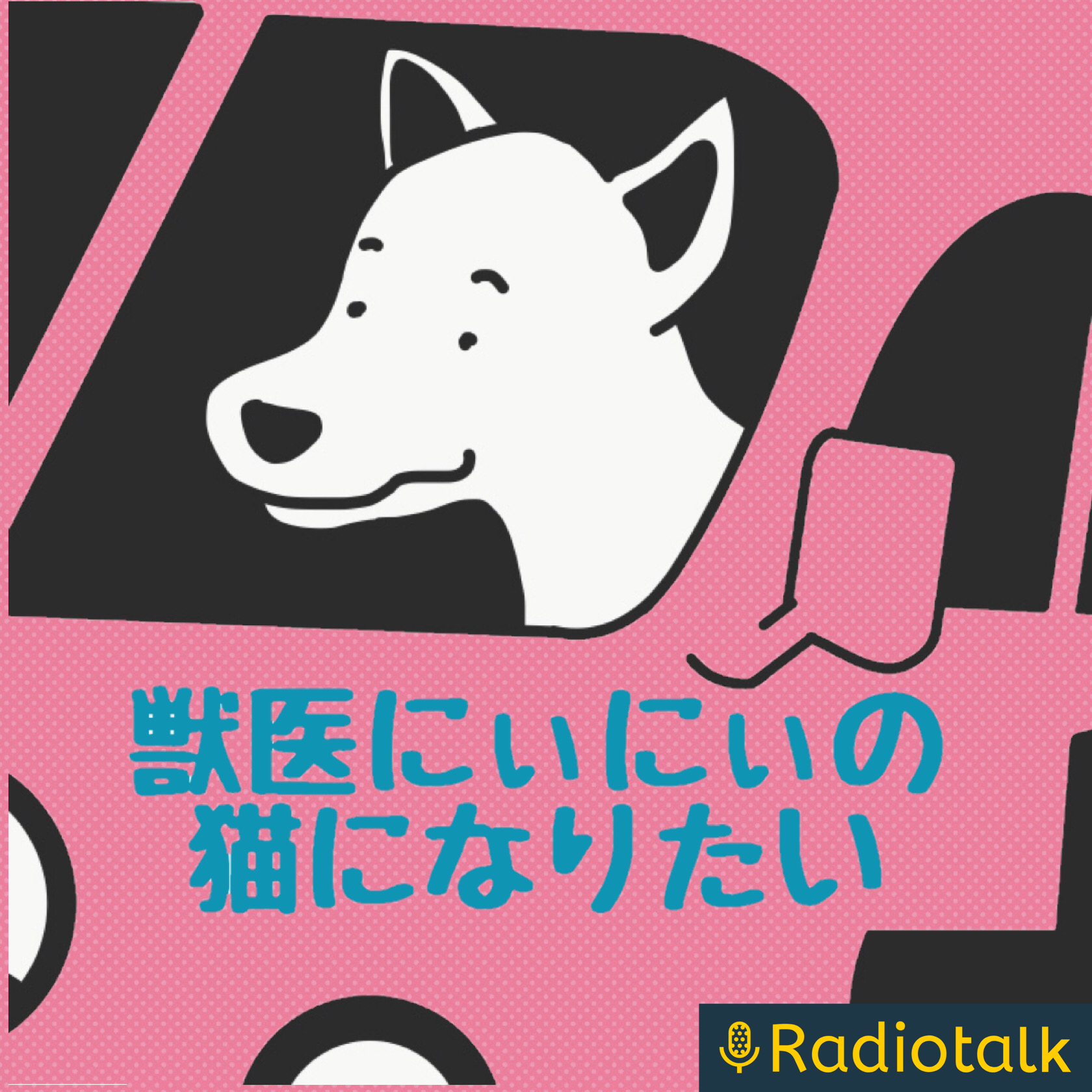 獣医にぃにぃの猫になりたい