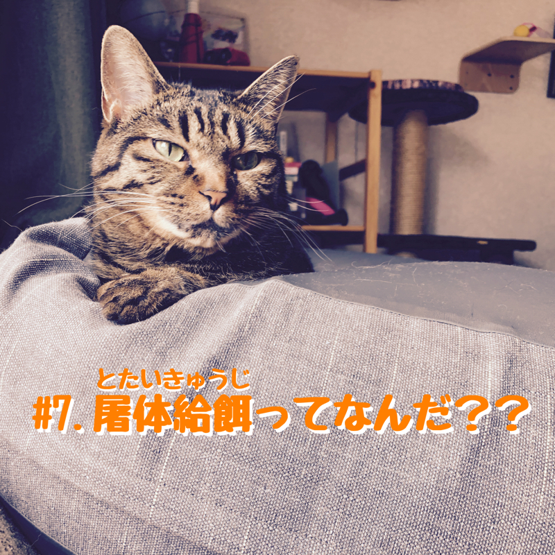 #7.屠体給餌ってなんだ？？ from Radiotalk