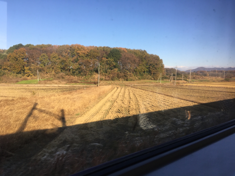 小声で歌う③どんなときも