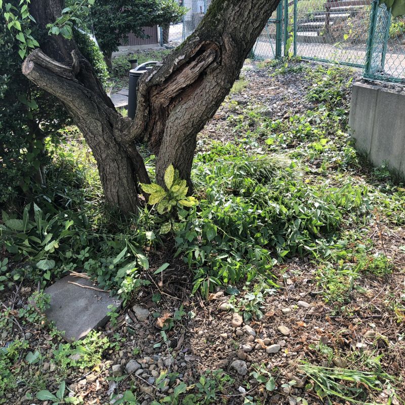 #2 嫌なことを、楽しみに変換するワザ