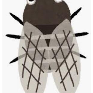 #5 大阪の異国度