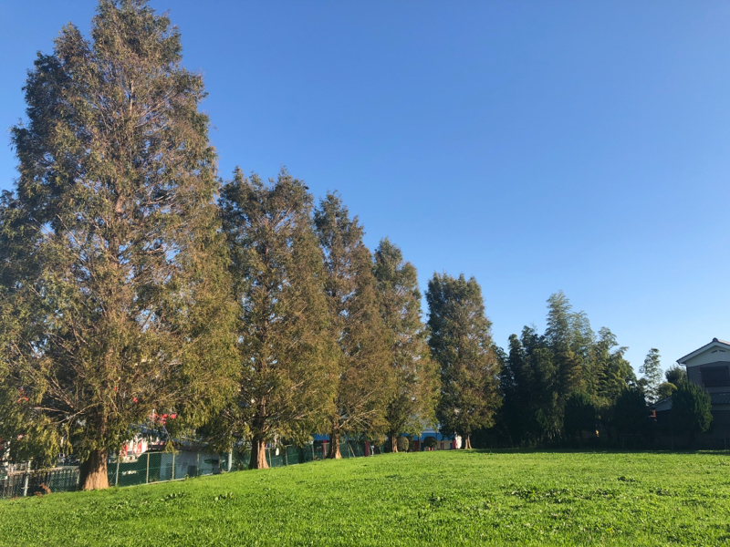 #49 人生に違和感を感じたらやるべきこと