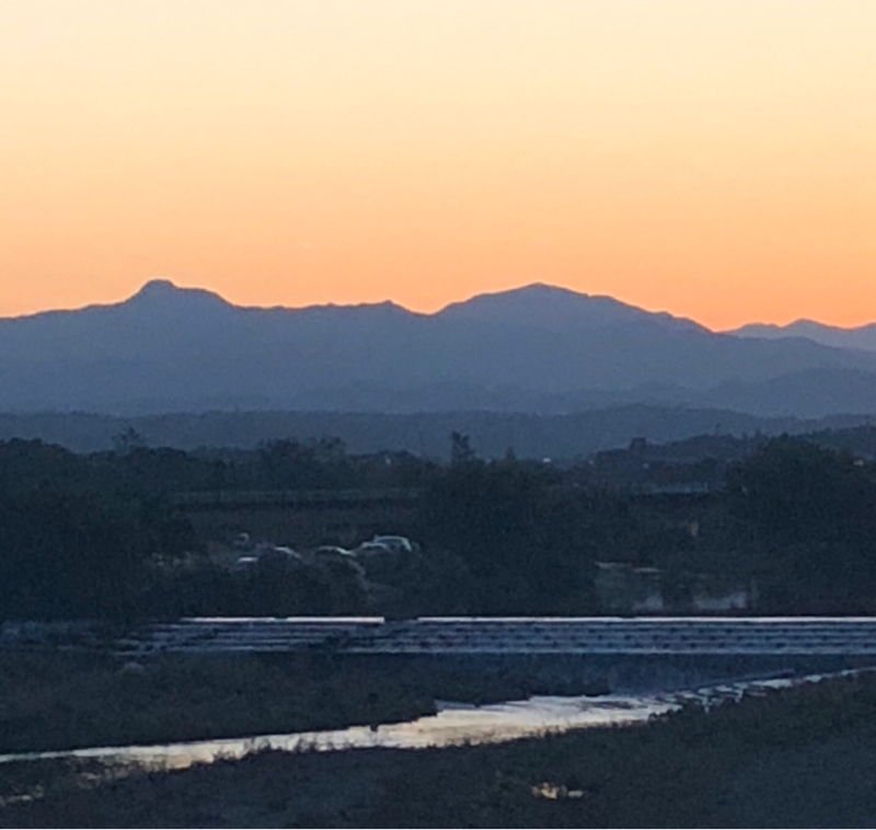 #50 毒もシワも消す、腸内細菌の育て方