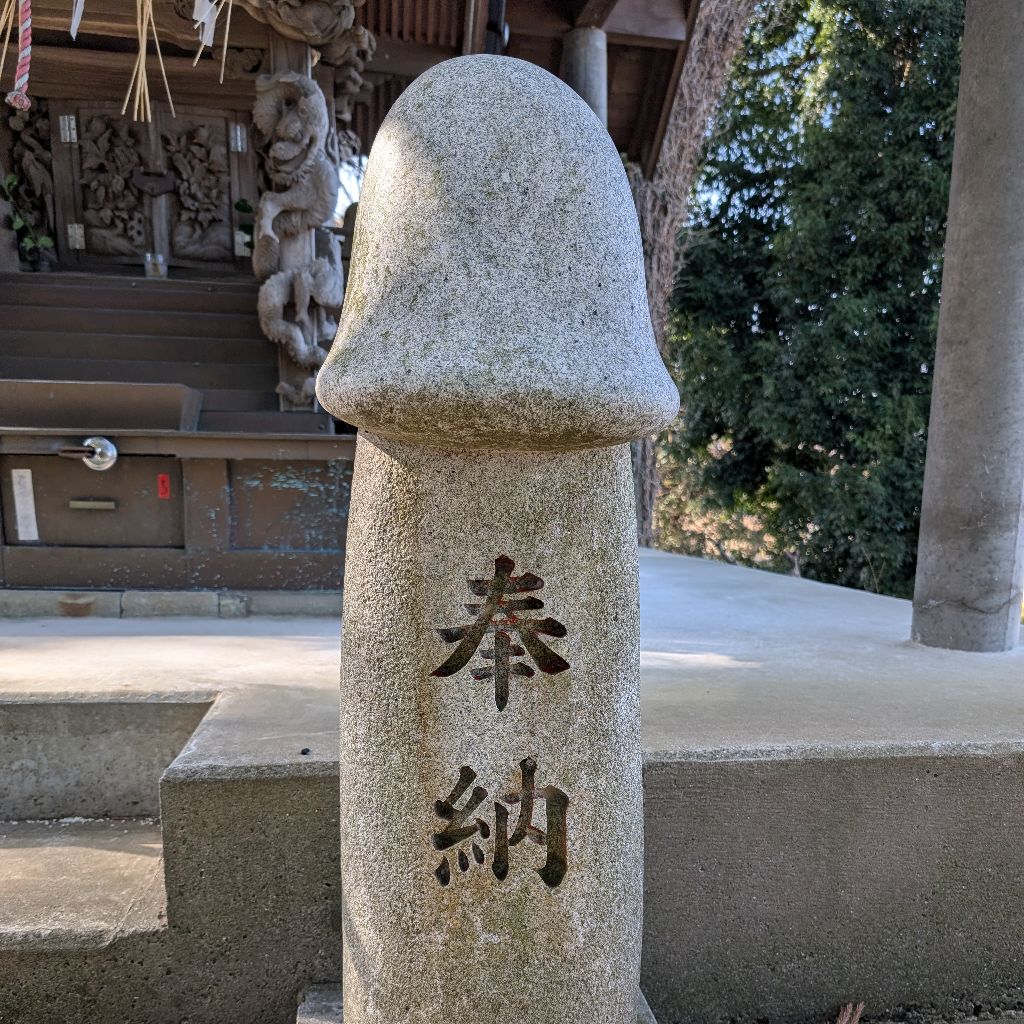 #250 期間限定イチモツウィーク6日目