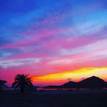 「とりあえず　乗っかってみる」