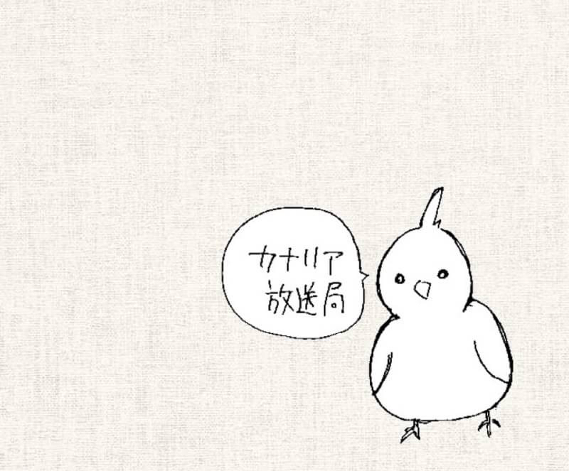 カナリア放送局 #1 自己紹介