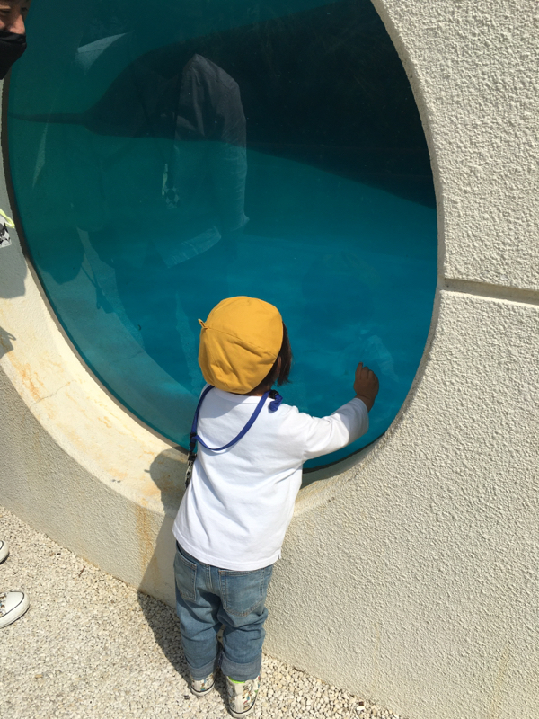 吐き出してスッキリ🐠🐟🐡💨