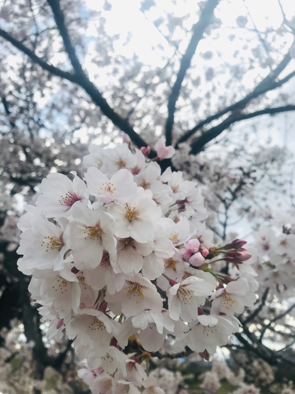 10年後の地球は？