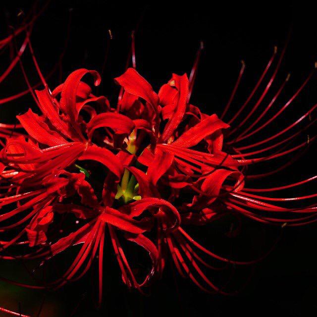 はじめましてっ