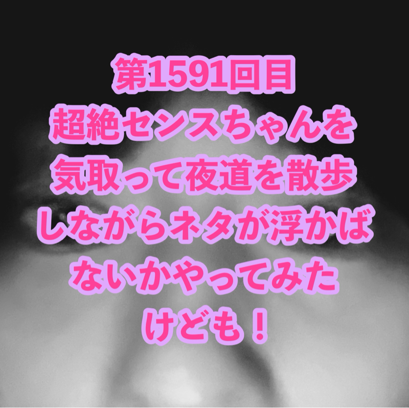 第1591回目 超絶センスちゃんを気取って夜道を散歩しながらネタが浮かばないかやってみたけども！