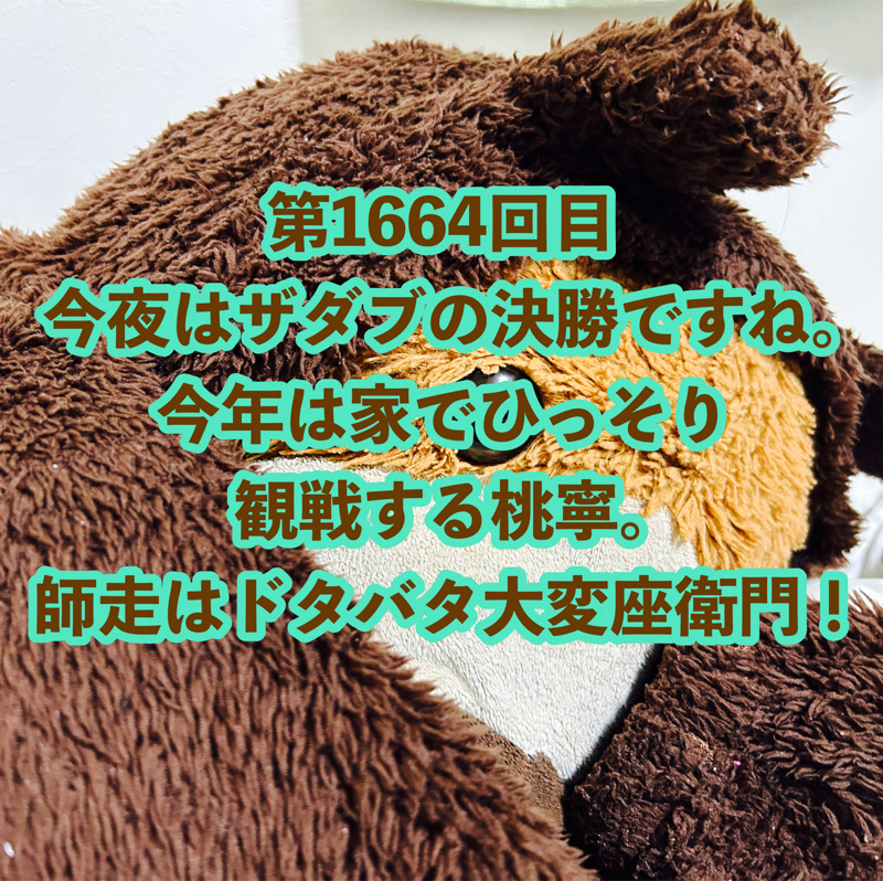 第1664回目 今夜はザダブの決勝ですね。今年は家でひっそり観戦する桃寧。師走はドタバタ大変座衛門！