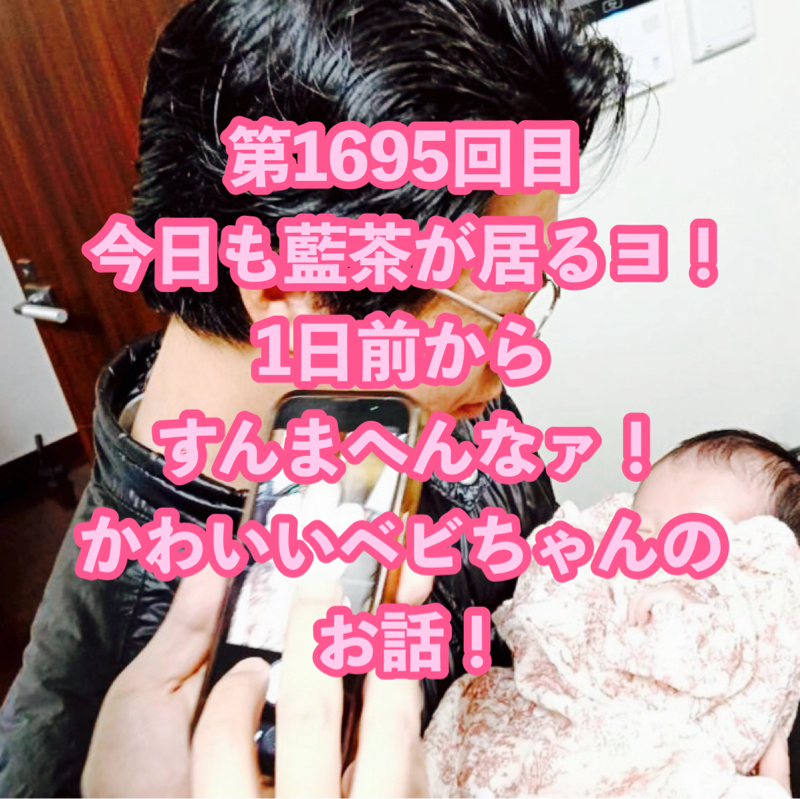第1695回目 今日も藍茶が居るヨ！1日前からすんまへんなァ！かわいいベビちゃんのお話！