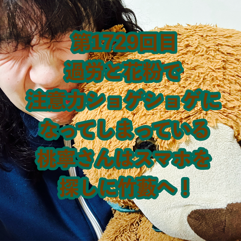 第1729回目 過労と花粉で注意力ショゲショゲになってしまっている桃寧さんはスマホを探しに竹藪へ！
