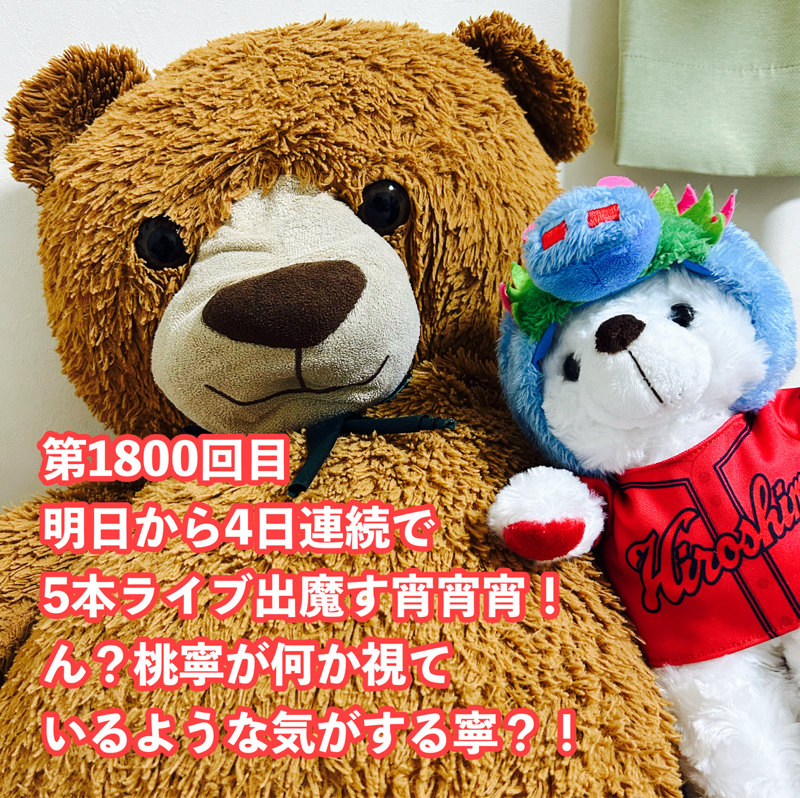 第1800回目 明日から4日連続で5本ライブ出魔す宵宵宵！ん？桃寧が何か視ているような気がする寧？！