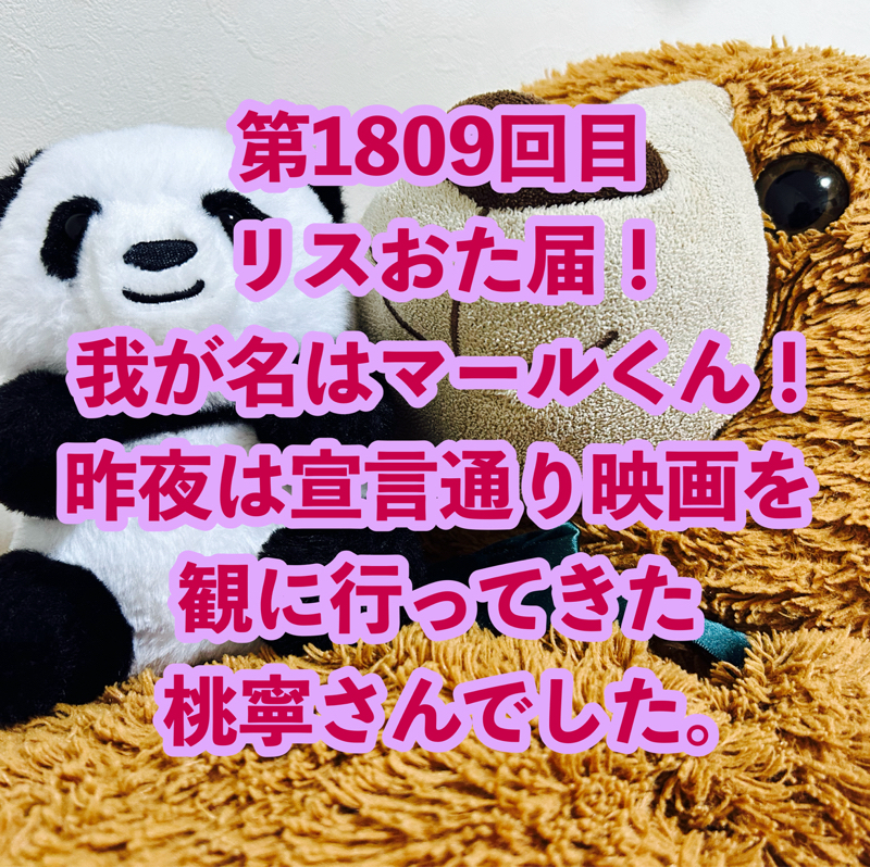 第1809回目 リスおた届！我が名はマールくん！昨夜は宣言通り映画を観に行ってきた桃寧さんでした。
