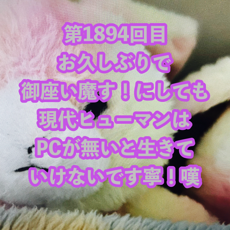 第1894回目 お久しぶりで御座い魔す！にしても現代ヒューマンはPCが無いと生きていけないです寧！嘆