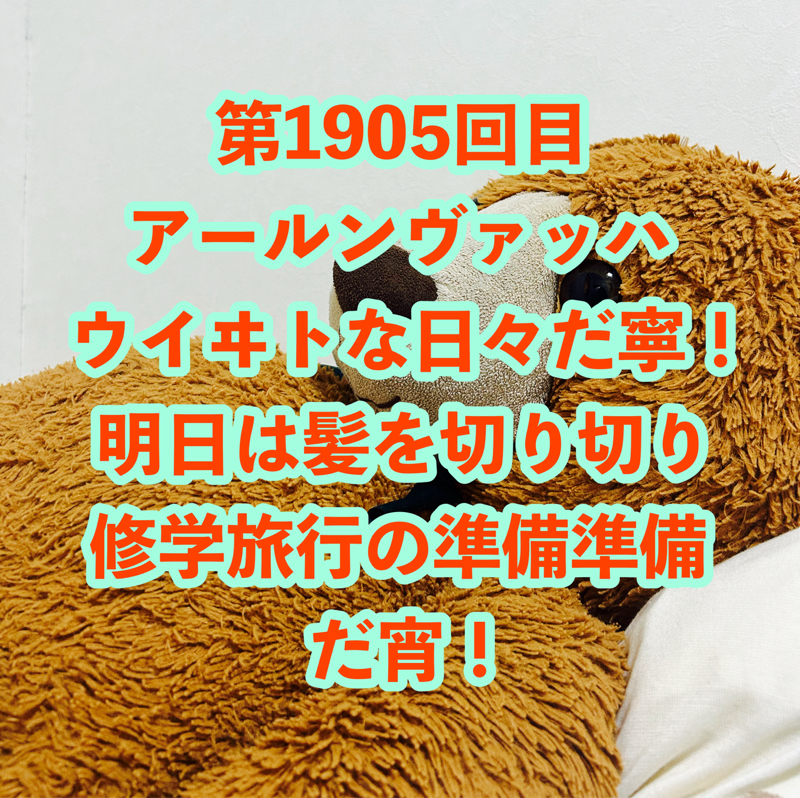 第1905回目 アールンヴァッハウイヰトな日々だ寧！明日は髪を切り切り修学旅行の準備準備だ宵！