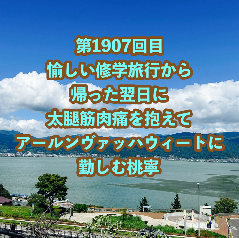 第1907回目 愉しい修学旅行から帰った翌日に太腿筋肉痛を抱えてアールンヴァッハウィートに勤しむ桃寧