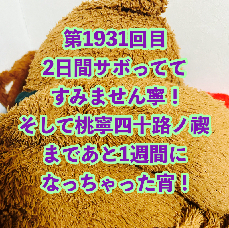 第1931回目 2日間サボっててすみません寧！そして桃寧四十路ノ禊まであと1週間になっちゃった宵！