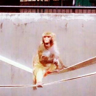 ＃2 暇すぎる休日なにして過ごす？