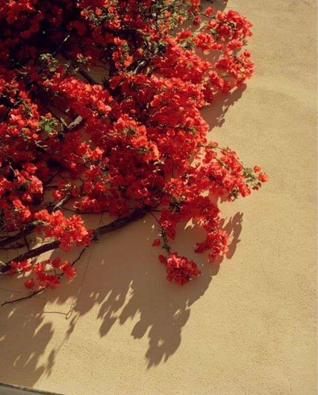 疲れて夕方まで横になっていた。その後用事を済ませた。