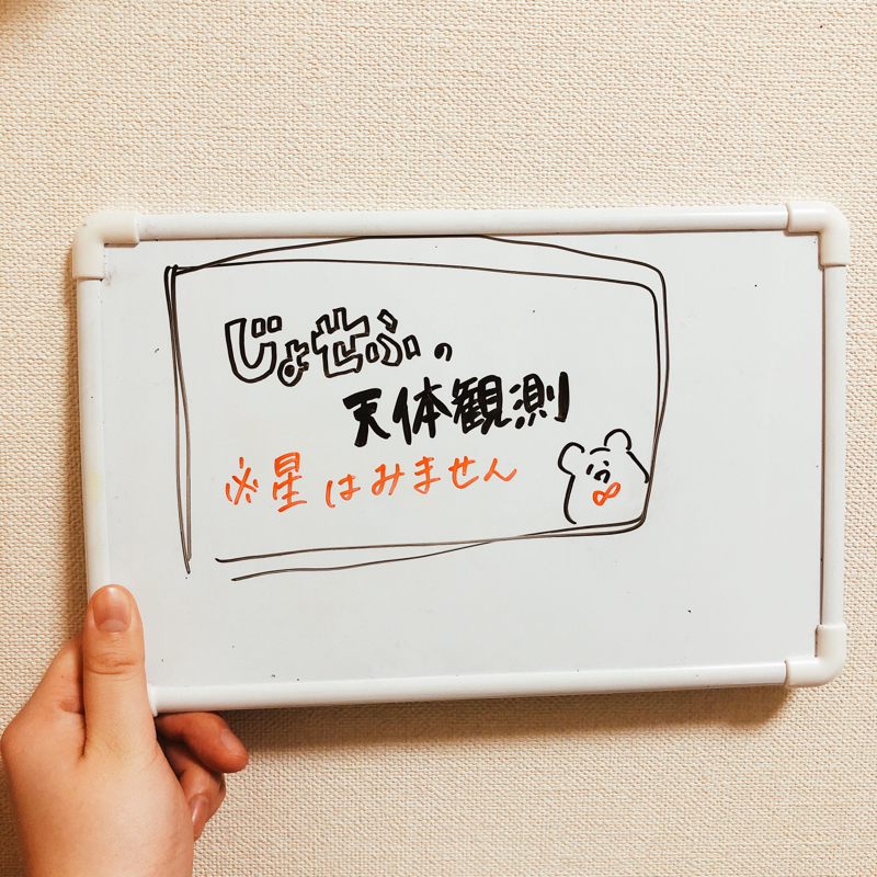 【第195回】はじめてのでぃずにーどらいぶ【予習編】