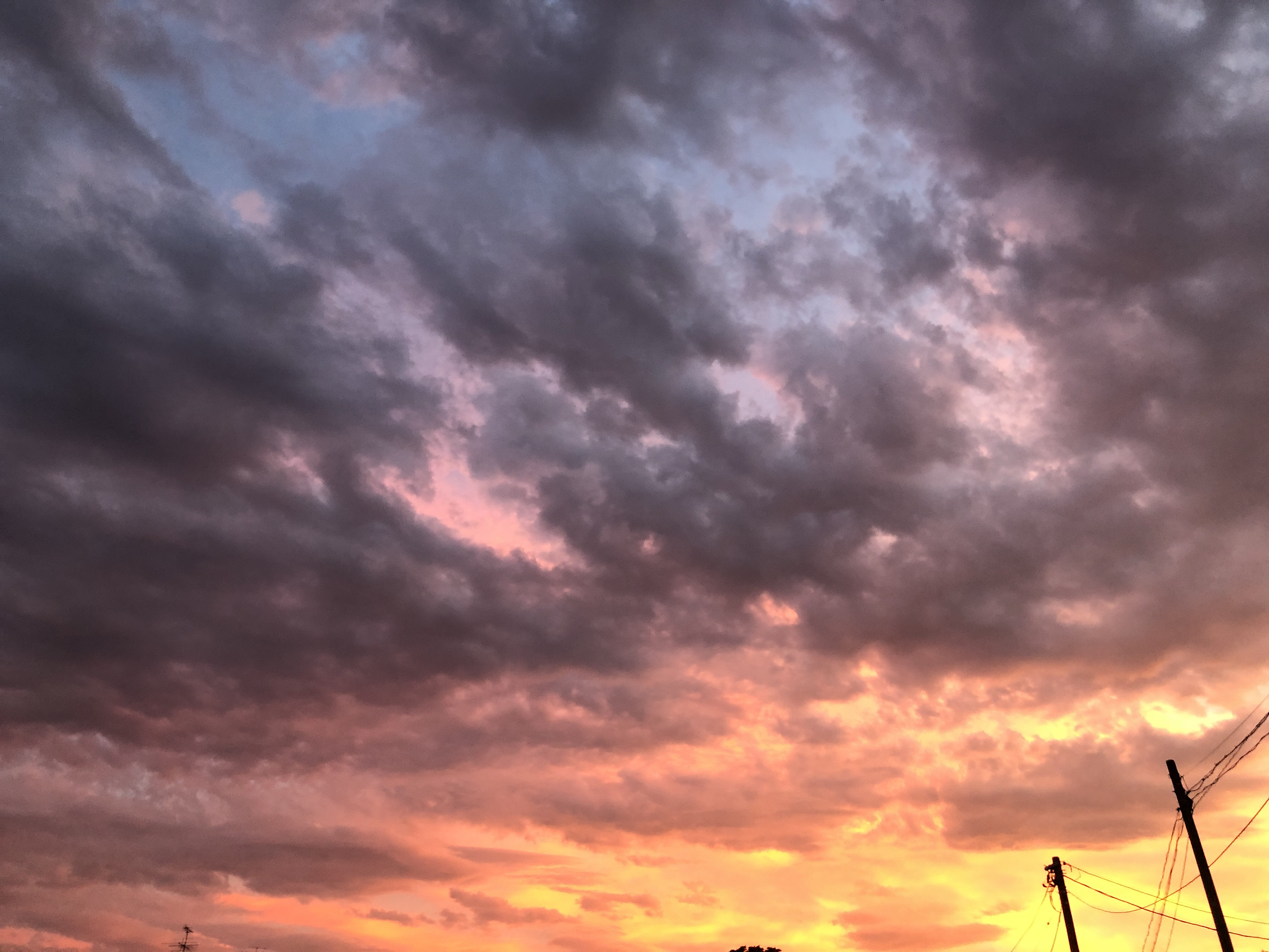 【第13回】「おげんさんといっしょ」がエモい話【再放送希望】