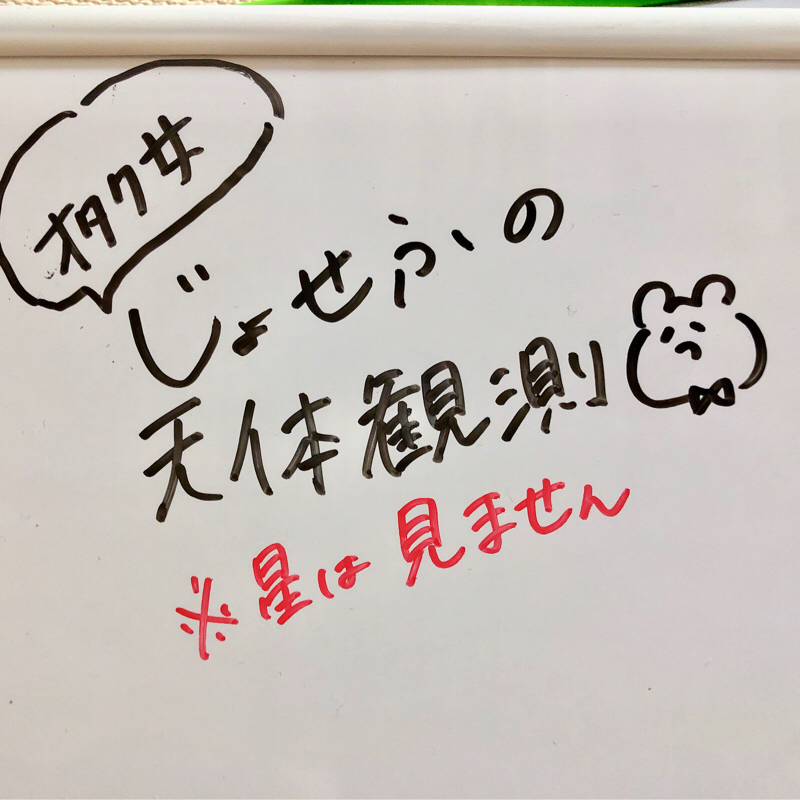 【第61回】私の考えた最強のスマホケース【こだわり強】
