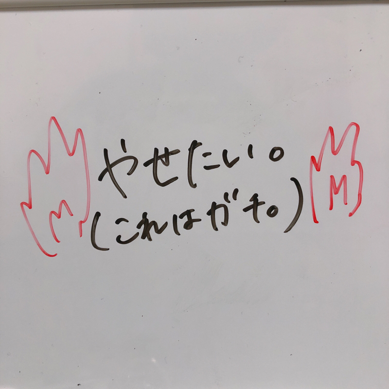 【ダイエット企画】毎日縄跳びチャレンジ【53日目】