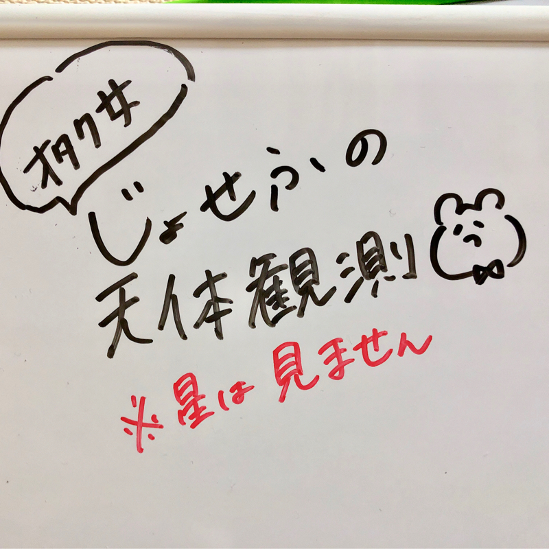 【第93回】福袋ってむずい【オシャレisむずい】