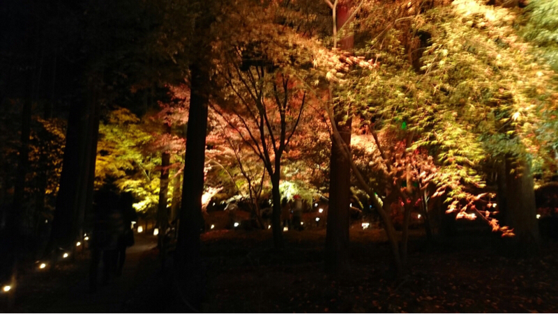 【第107回】宮城さ来たらいっちゃ【おいでよ宮城】