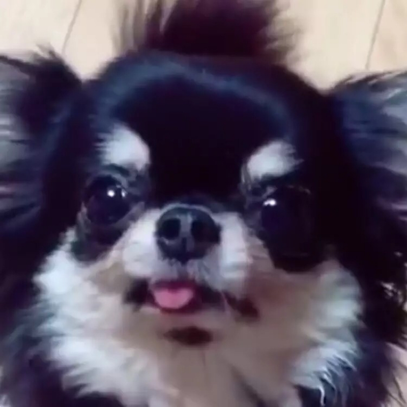 ひと声かけるね😋